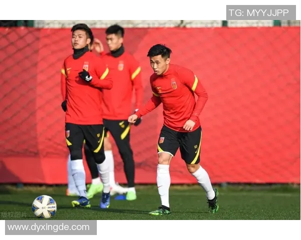 2023年现役中国足球队员完整名单及其最新动态分析